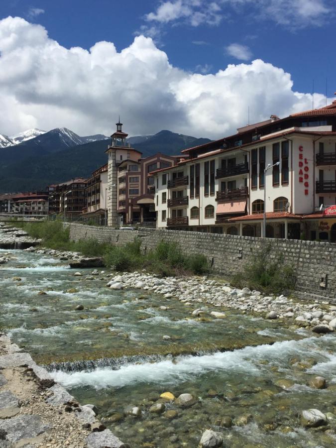 Cedar Lodge 3/4 Apartment Paradise Bansko Exterior foto